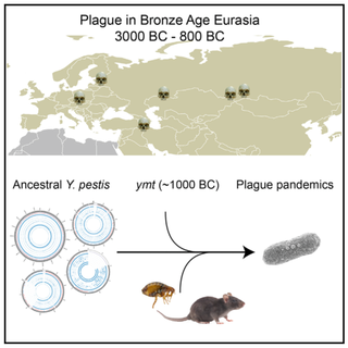 Illustration for article titled The Plague Has Been Around For a Lot Longer Than We Thought